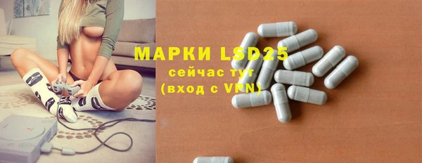 молекула духа Кулебаки
