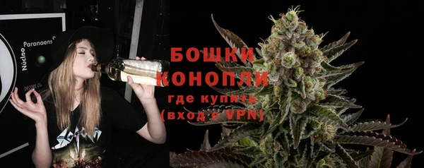 молекула духа Кулебаки